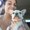 Photo of Shalyn H.