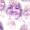 Photo of Debbie C.