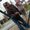 Photo of Ranee H.