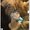 Photo of Qype User (Susi…)