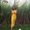 Photo of Avneet D.