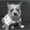 Photo of Dot K.