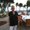 Photo of Susan G.