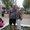 Photo of Stacy S.