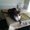 Photo of Gex M.