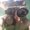 Photo of Kristine G.