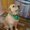 Photo of Abby A.