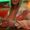Photo of Elva A C.