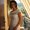 Photo of Elena C.