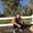 Photo of Josh J.