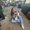 Photo of Alejandra Yvonne S.