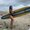 Photo of Karina D.