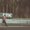 Photo of Saschbert B.