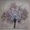 Photo of Vicki G.