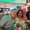 Photo of Elvira V.
