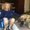 Photo of Jill J.