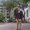 Photo of Kram S.
