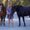Photo of Cianna C.