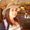 Photo of Ivanna Q.