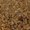 Photo of Stone S.