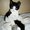 Photo of Kat P.