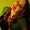 Photo of Bree C.