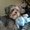 Photo of Joann T.