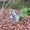 Photo of Icecream G.