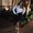 Photo of Tanya G.