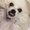 Photo of Chex D.