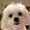Photo of Dachy B.