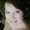 Photo of Margo K.