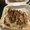 Photo of Time To Eat M.