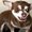 Photo of Wendy T.