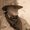 Photo of Al P.