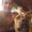 Photo of Andy F.