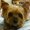 Photo of Fang-fang P.