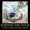 Photo of Jason B.