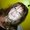 Photo of Debra A.