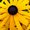 Photo of Qype User (frambo…)