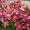 Photo of Amy L.