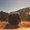 Photo of L M.