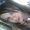 Photo of Mikala M.