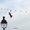 Photo of Nadja R.