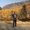 Photo of Quy T.