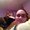 Photo of Jenn B.