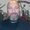Photo of Rob T.