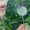 Photo of Joanna L.