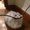 Photo of Sages F.
