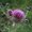 Photo of Qype User (MehrVo…)